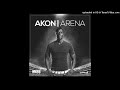 Akon Feeling The Nikka Ft D Banj mp3