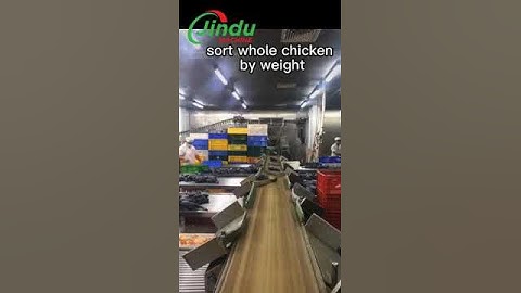High Speed Weight Sorting Machine Revolutionizes Poultry Industry