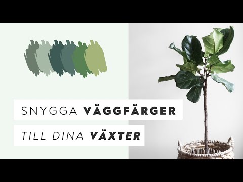 Video: Tips För Att Välja Färger