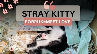 STRAY KITTY POBRUK | I want to keep this memory as a part of our journey
