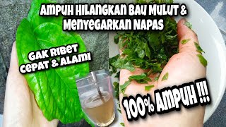 Cara Menghilangkan Bau Mulut Secara Alami ⁉️Napas Segar Seketika 💯 % Terbukti‼️