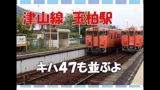 JR西日本　津山線　玉柏駅（たまがしえき）はキハ47の天国！