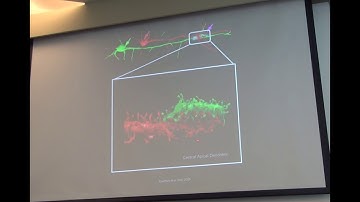 1  Introduction to Brain Networks