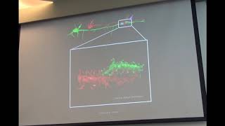 1  Introduction to Brain Networks