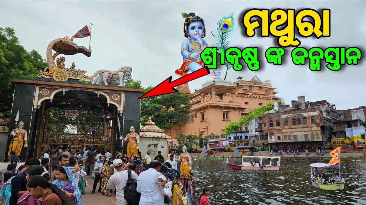 Mathura / Mathura Darshan / Mathura Yatra / Mathura tour Plan / Mathura Vrindavan Guide #odiavlog  