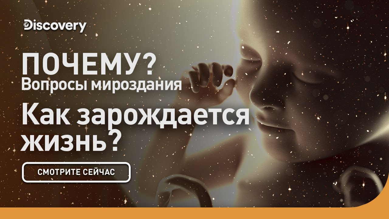 ⁣Как зарождается жизнь? | Почему: вопросы мироздания | Discovery