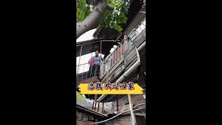 总裁,欢迎回家 #原创视频 #搞笑演绎 #带你看房 #vlog十亿流量扶持计划
