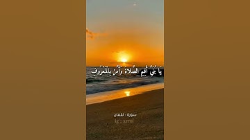 Quran Kareem story 🌸WhatsApp  أجمل قرائه قرآن كريم حالات واتس 🍃 《 سوره لقمان  》