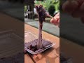 1,000人以上に保存された佐賀の人気店