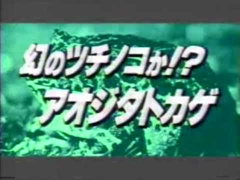 【福島ローカルCM・1989年】うすい「世界のヘビ＆カエル展」