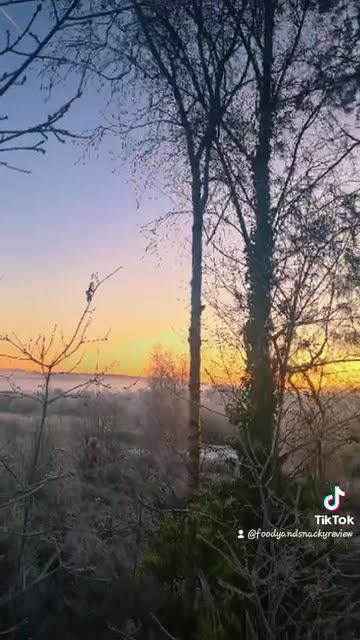 a frosty morning - YouTube