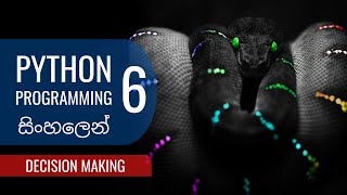 Celebrity Python Tutorial - Decision Making (Part 06) Profile