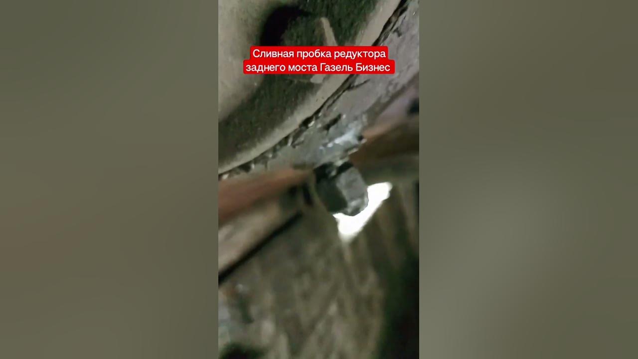 почему газель едет боком