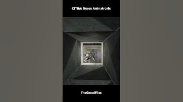 CITRA: Nosey Animatronic #garrysmod #gaming #nextbots #sandbox