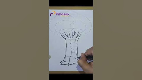 How to Draw an Oak Tree Easy in The Right Way