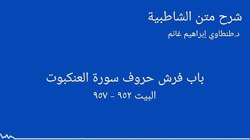 شرح الشاطبية || د.طنطاوي إبراهيم غانم || سورة العنكبوت