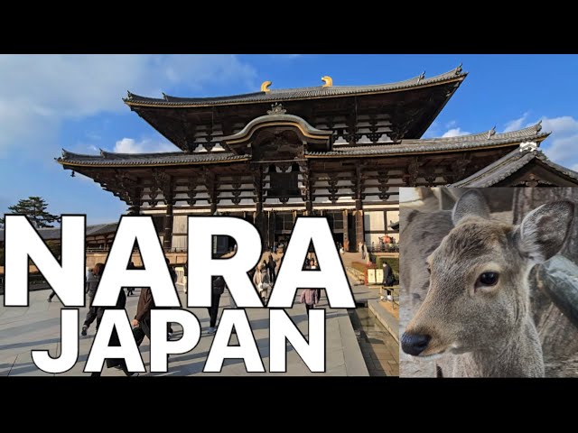Nara: Japans Ancient Capital - YouTube