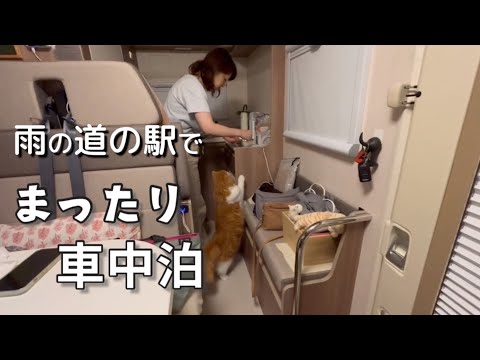 【キャンピングカー】Puppy480で雨の道の駅でゆっくり過ごしました／初車中泊旅#3