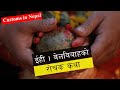 Ihi  ehee  bel bibaha  newari tradition  inner nepal  nepali tradition  nepali culture  ihh