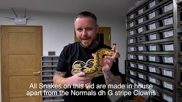 A look at some holdbacks in the JvK FB10 rack!