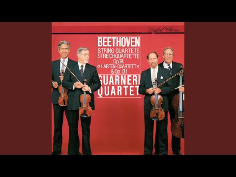 (未使用･未開封品)　Guarneri Quartet Plays Beethoven [DVD] gsx453j Amazon.com: Beethoven: Late String Quartets: CDs & Vinyl