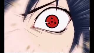 Killer bee is a goat.