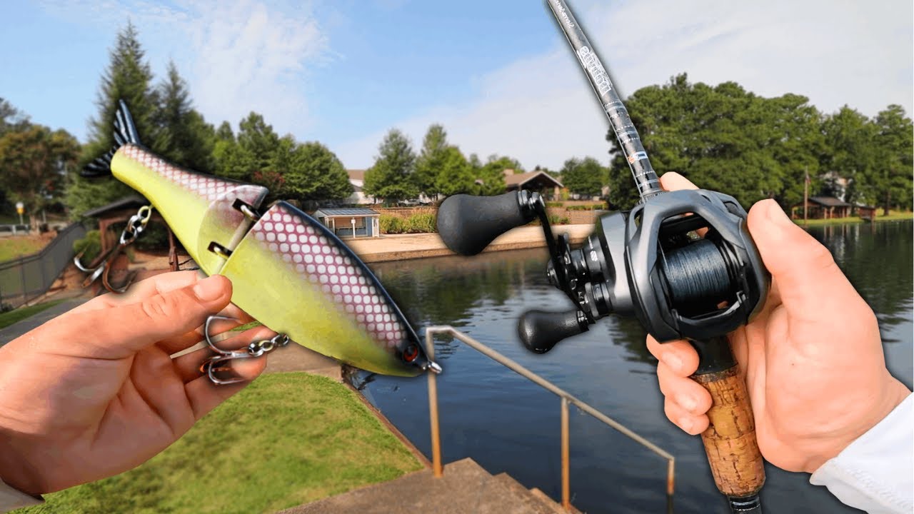 Fishing GIANT Swim baits For BIG URBAN BASS! (Pond Hopping) YouTube