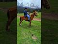 chal mere ARJUN Tik Tik Tik 🦾🏇 #short #popular #kashmir
