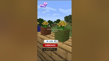 Dyeable Flower Pots Minecraft Mod!