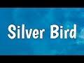 Mark lindsay  silver bird lyrics from the gray man