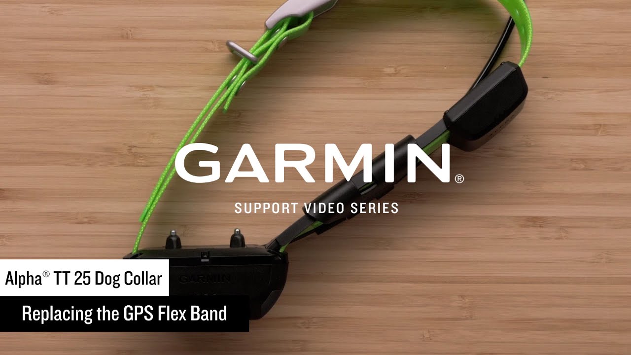 Garmin Support | Alpha® TT 25 / T 20 Dog Collars | Replacing the GPS Flex Band Antenna