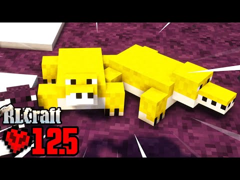 Video Blood Moon | RLCraft Hardcore Ep. 12.5 - youtube