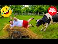 Funny & Hilarious People Life 😂 Try Not To Laugh | Top 99 Funniest Videos Ever Compilation 2026 #123