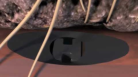 Druppelslang XFS rainbird