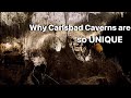 Carlsbad Caverns National Park, New Mexico