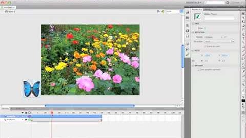 Flash CS5 Tutorial: Creating an animated butterfly symbol