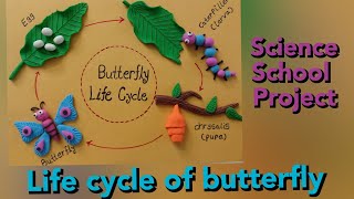 Life cycle of butterfly /3D butterfly life cycle using clay or doh/तितली का जीवन चक्र प्रोजेक्ट screenshot 5