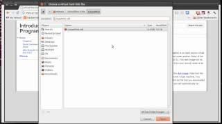 Linux Virtual Environment