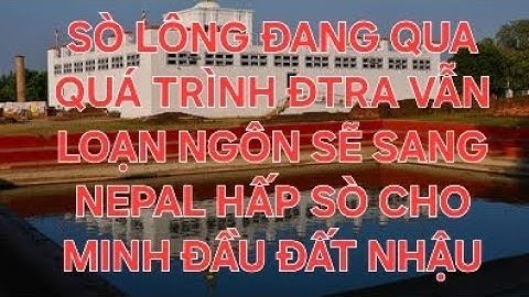QUAY ĐẦU LÀ BỜ ĐỪNG NÊN BẤT CHẤP SÒ LÔNG