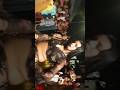 kitna acha dance hai gys