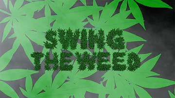 T.Y. - Swing The Weed feat. Wiz Khalifa & Curren$y (Official Video)