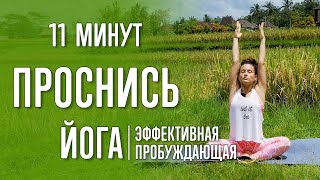 Пробуждающая Йога (10 Минут) | Йога С Катрин