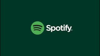 spotify motion graphics ad