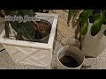Plant Holder Planter Container Flower Box Garden Patio Lawn Outdoor Decor 14x14