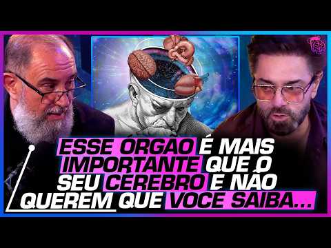 EPIGENETICS: how HEALTHY HABITS RECOVER your SPIRITUAL CONNECTION - ALEX ALVES AND THIAGO LIMA