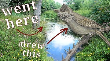 Art Vlog 2 ✿ Undercliffs Nature Journaling Project 2023/24