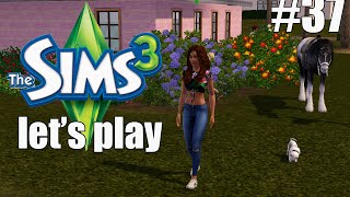 The Sims 3 Семейка Брук #37 В поисках парня