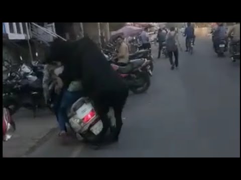bull-girl-sex-pictures