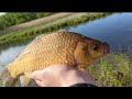 Карась на поплавок: Жор и рыбалка 🎣