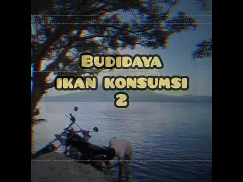 Video Sarana dan Peralatan Budidaya Ikan Konsumsi